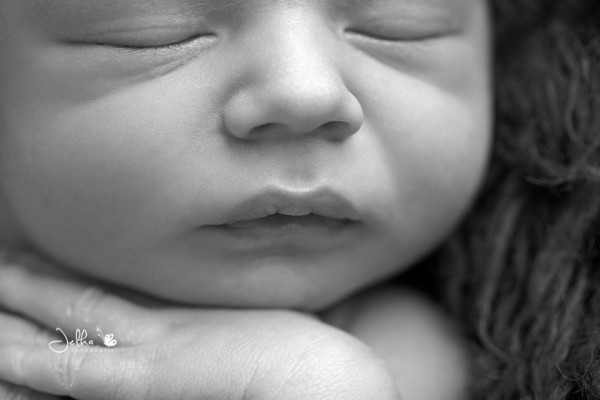 Jelkafotografie Newborn boy Hasselt black and white940BW