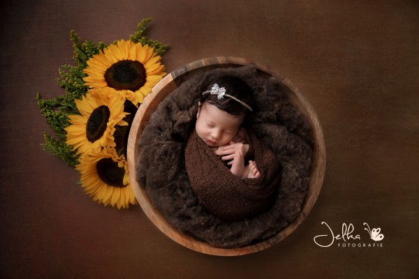 Newbornsunflower