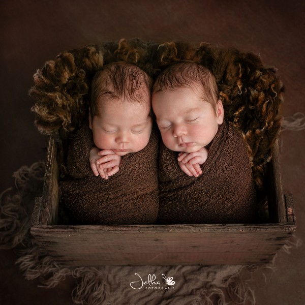 Newborn twin boys