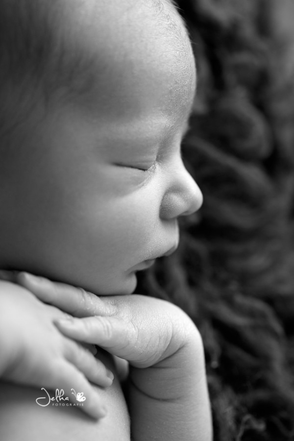 Jelkafotografie Newborn boy Hasselt black and white946BW